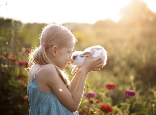 girl and rabbit