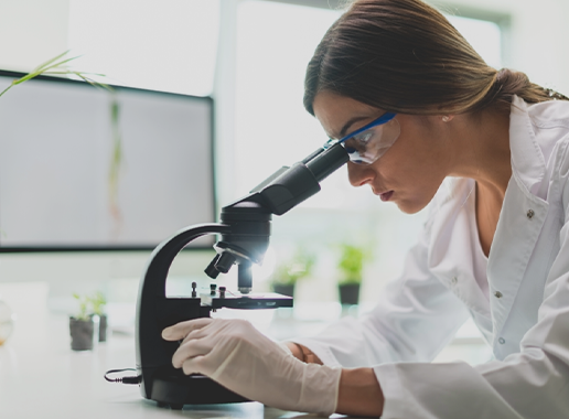 LabService_2